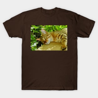 Leopard-spotted Bengal Stretching Out T-Shirt